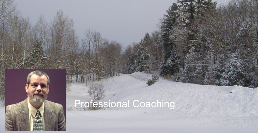 Professional Coaching In Emotional Intelligence